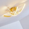 Lámpara de Techo Aranu LED dorado, 4 luces