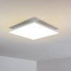 Salmi Lámpara de Techo LED Blanca, 1 luz, Mando a distancia