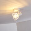 Lámpara de Techo Holbol Blanca, 1 luz
