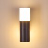 Aplique para exterior Baulund LED Antracita, 1 luz