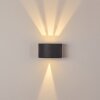 Windhoek Aplique para exterior LED Antracita, 2 luces