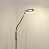 Gulkana Lámpara de Pie LED Níquel-mate, 1 luz, Cambia de color