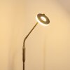 Gulkana Lámpara de Pie LED Níquel-mate, 1 luz, Cambia de color