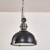 Lámpara Colgante Ilvy LED Negro, 1 luz