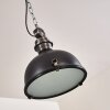 Lámpara Colgante Ilvy LED Negro, 1 luz