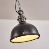 Lámpara Colgante Ilvy LED Negro, 1 luz