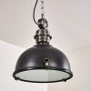 Lámpara Colgante Ilvy LED Negro, 1 luz