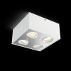 Philips Box Lámpara de Techo LED Blanca, 4 luces
