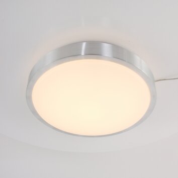 Steinhauer Stellar Lámpara de Techo LED Acero inoxidable, 1 luz