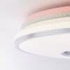 Brilliant Visitation Lámpara de Techo LED Plata, Blanca, 1 luz, Mando a distancia, Cambia de color