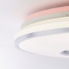 Brilliant Visitation Lámpara de Techo LED Plata, Blanca, 1 luz, Mando a distancia, Cambia de color