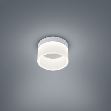 Helestra Liv Lámpara de techo LED Gris, 1 luz