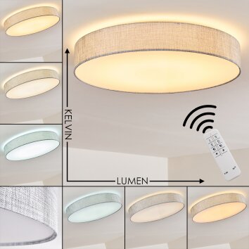 Tallaboa Lámpara de Techo LED Plata, 1 luz, Mando a distancia
