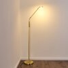 Gulkana Lámpara de Pie LED dorado, 1 luz