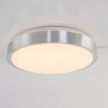 Steinhauer Stellar Lámpara de Techo LED Acero inoxidable, 1 luz