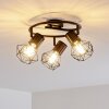 Bardhaman Lámpara de Techo Negro, 3 luces