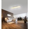 Leuchten-Direkt FLAT Lámpara de techo LED Blanca, 1 luz, Mando a distancia