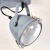 Butikon Lámpara de Techo Gris, 2 luces