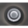 Paul Neuhaus NEVIS Lámpara de Techo LED Plata, 1 luz