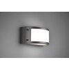 Reality Kendal Aplique LED Antracita, 1 luz