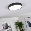 Kragos Lámpara de Techo LED Negro, Blanca, 1 luz