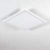 Salmi Lámpara de Techo LED Blanca, 1 luz