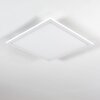 Salmi Lámpara de Techo LED Blanca, 1 luz