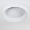 Kampala Lámpara de Techo LED Blanca, 1 luz