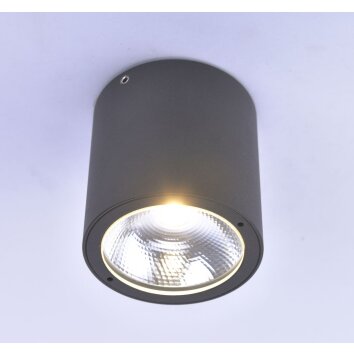 Paul Neuhaus GEORG Lámpara de Techo LED Antracita, 1 luz
