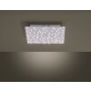 Leuchten-Direkt SPARKLE Lámpara de Techo LED, 1 luz, Mando a distancia