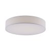 Paul Neuhaus Q-KIARA Lámpara de Techo LED Blanca, 1 luz, Mando a distancia