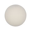 Paul Neuhaus Q-KIARA Lámpara de Techo LED Blanca, 1 luz, Mando a distancia