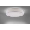 Paul Neuhaus Q-KIARA Lámpara de Techo LED Blanca, 1 luz, Mando a distancia