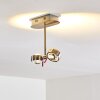 Florenz Lámpara de techo LED Níquel-mate, 2 luces