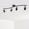 Bohemia Lámpara de Techo Negro, 4 luces