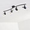 Bohemia Lámpara de Techo Negro, 4 luces