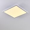 Bankura Lámpara de Techo LED Blanca, 1 luz, Mando a distancia, Cambia de color