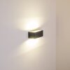 GEMINI Aplique para Exterior LED Antracita, 1 luz