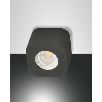 Fabas Luce Palmi Lámpara de Techo LED Antracita, 1 luz