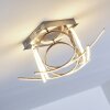 Felin Lámpara de Techo LED Níquel-mate, 1 luz