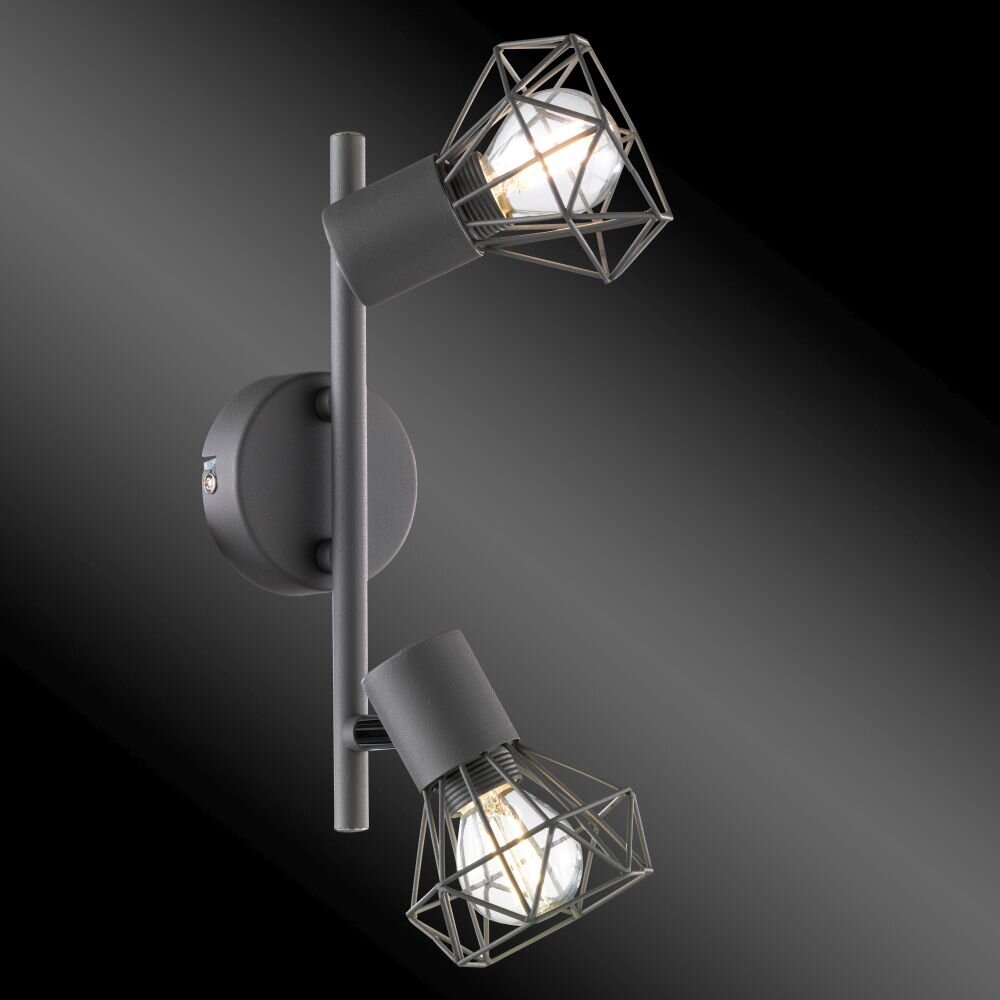 Honsel Ran Lámpara de Techo Gris, 2 luces main product photo