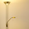 Rom Lámpara de pie LED Latón antiguo, 2 luces