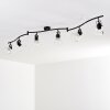 Bois Lámpara de Techo Negro, 6 luces