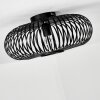 Ovari Lámpara de Techo Negro, 1 luz