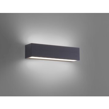 Paul Neuhaus ROBERT Aplique LED Antracita, 1 luz