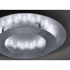 Paul Neuhaus NEVIS Lámpara de Techo LED Plata, 11 luces