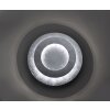 Paul Neuhaus NEVIS Lámpara de Techo LED Plata, 11 luces