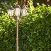 Hongkong Frost Candelabro Marrón, oro, 3 luces