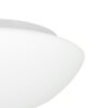 Steinhauer Lotti Lámpara de Techo LED Blanca, 1 luz