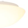 Steinhauer Lotti Lámpara de Techo LED Blanca, 1 luz